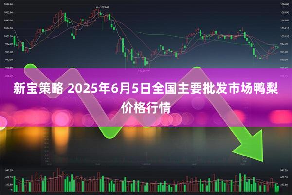 新宝策略 2025年6月5日全国主要批发市场鸭梨价格行情