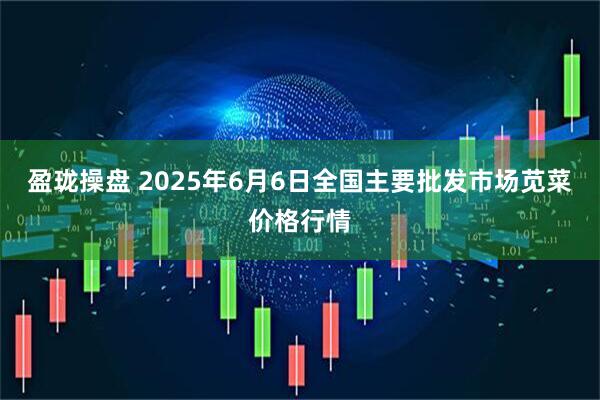 盈珑操盘 2025年6月6日全国主要批发市场苋菜价格行情