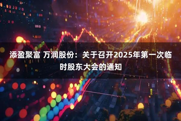 添盈聚富 万润股份：关于召开2025年第一次临时股东大会的通知