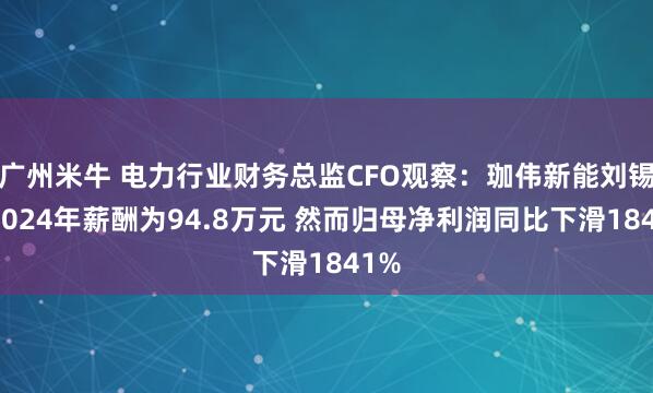 广州米牛 电力行业财务总监CFO观察:珈伟新能刘锡金2024年薪酬为94.8万元 然而归母净利润同比下滑1841%