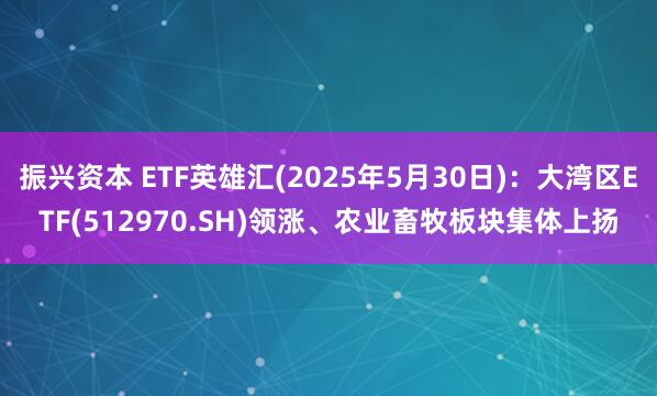 振兴资本 ETF英雄汇(2025年5月30日):大湾区ETF(512970.SH)领涨、农业畜牧板块集体上扬